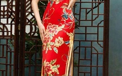 yy手机电影下载